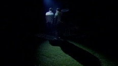 still 4
